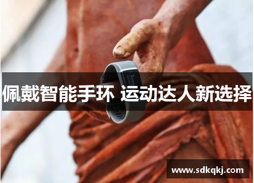 佩戴智能手环 运动达人新选择